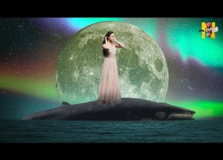 Vital Whales Unicorn Heads No Copyright Music