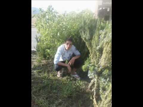 الشيخ بشير بن عربية ملاوي بسكرة