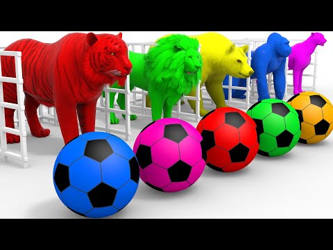 Baa Baa Black Sheep Song More Nursery Rhymes Kids Songs Fun Cartoons For Kids