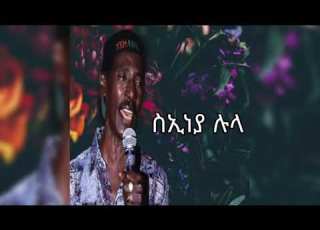  New Eritrea Music 2022 Yemane Baray Lula Music With Lyrics