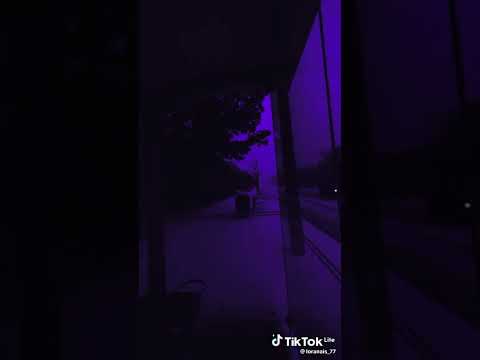 وردة شارلومانتي قلبي خصه مولاه