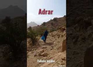 أغراس ن أدرار
