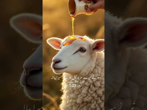 Zaboor 23 5 Urdubible Viral