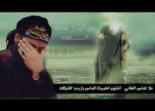  مصيبة السيدة زينب مولمة