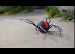 Robo Alive Spider