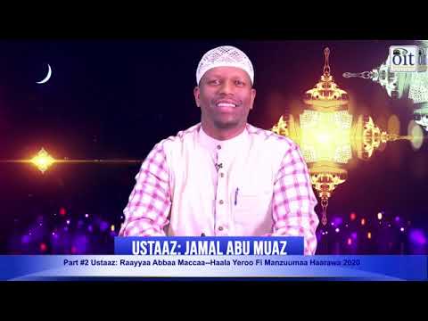 Ustaaz Raayyaa Abbaa Maccaa Fi Ustaaz Jamal Abu Muaz Haala Yeroo Fi Manzuumaa 33irratti Ku 2ffa