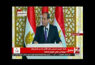 السيسي عن وزير الكهرباء قالولي شيل دكتور شاكر