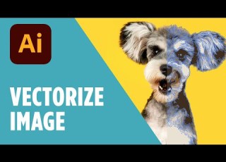 Vectorize Any Image In Illustrator With Image Trace