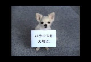 岡山エリアCM 2005年 05 9 22 10月 CM 提供クレジット 詰め合わせ アイフル ビクター 日産 月桂冠 トヨタホーム P G