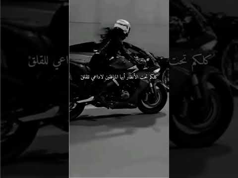 كلكم تحت الأنظار أيها المنافقين لا داعي لقلق كلكم تحت الأنظار أيها المنافقين لا داعي لقلق