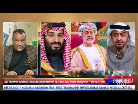 Oduu Gaddaa Artist Mahdii Xiqqaan Du Aan Addunyarraa Galee Jira Lolli Haalan Baballachaa