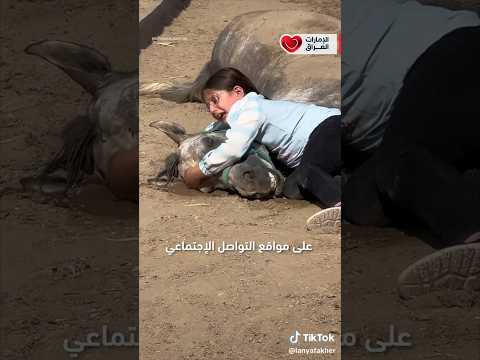 الفارسة الصغيرة التي أبكت العالم العراق اربيل الفارسة الصغيرة لانيا فاخر Iraq