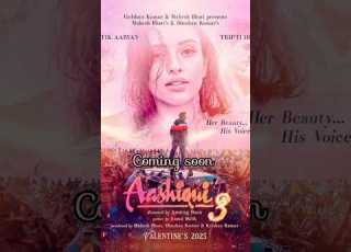 Top 10 Best Movie Of Tripti Dimari Triptidimri Triptidimarimovies Newbollywoodmovie