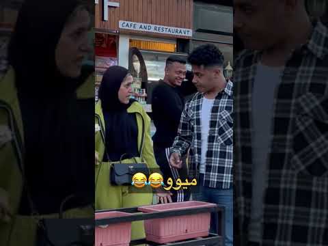 إضحك مع القطة و الفار