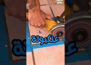 يوم ما رحت اتقدم لمراتي ما كانتش تعرف ان رايح اتقدم لها