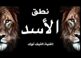  ريم روسي روعة نطق الأسد لايك وإشراك