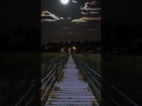 مقاطع فيديو بدون حقوق طبيعة خلابة