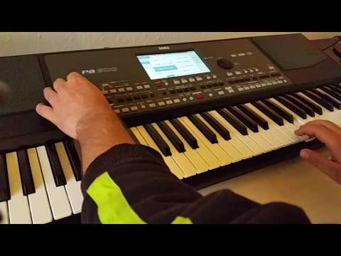 SET سيت سوري دبكة اصوات ربابة و شبابه السيت جميل Korg Pa600