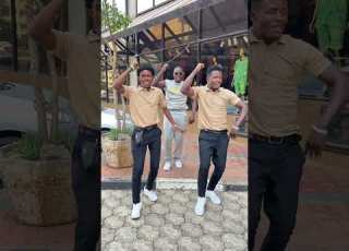Kimya Dance
