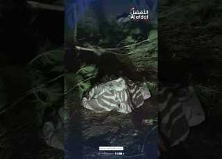  استهداف مباغت في القرعون جرحى وقلق يسود المنطقة Alafdalnews