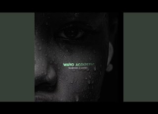  Wayo Acoustic