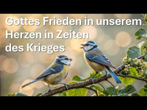 Gottes Frieden In Unserem Herzen In Zeiten Des Krieges 14 03 2026