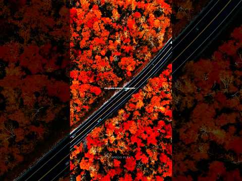 Me Gustas Tu Manu Chao Lyrics Aesthetic WhatsApp Status English Songs Speed Up Slowed