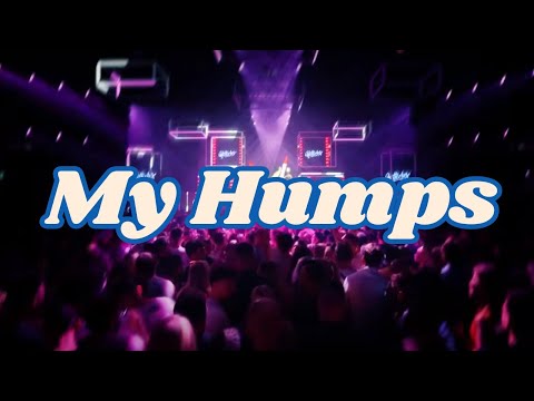 Black Eyed Peas My Humps Dave Ruthwell Afro Remix