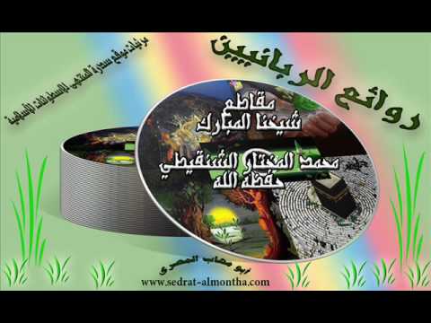 حديث قصة امرأة رفاعة حتى تذوقي عسيلته ويذوق عسيلتك الشيخ الشنقيطي