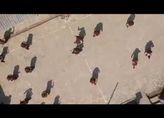 GOYANG DAYUNG SMK ND