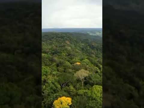 Maajabu Ya Watu Wanaoishi Kwenye Msitu Wa Amazon