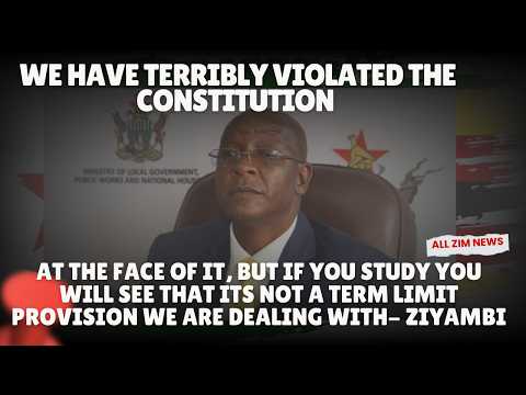 We Have Terribly Violated The Constitution At The Face Ziyambi Ziyambi