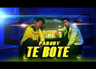 WATÉ HABTI TE BOTE REMIX PARODY