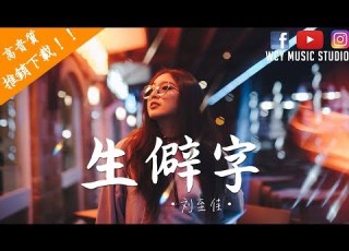 刘至佳 生僻字 完整版 中文動態歌詞MV