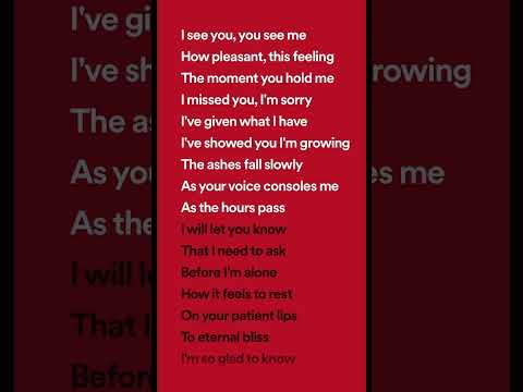 After Dark By Mr Kitty Lyrics