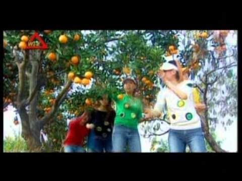 八大巨星 敲锣打鼓迎新岁 万紫千红迎新岁 Official MV