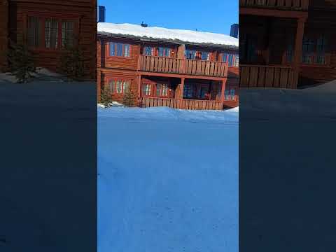 انا مش محتاجه حد