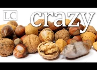  Word Origins Crazy