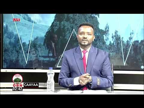 Qophii Caayaa OBN Amajjii 18 2018