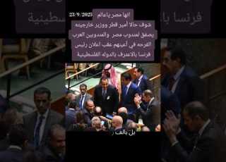انها مصر يا ساده شوف حالا امير قطر ووزير خارجية يصفق لمندوب مصر ومندوبين العرب الفرحة في اعينهم