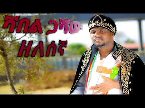 Shambel Gashaw Zelesegna ሻበል ጋሻው Ethiopian Video 2025