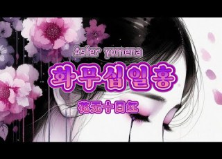 화무십일홍 Aster Yomena 전초아 Jeonchoah