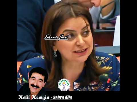 AKP Ünlü Kürt Sanatçı Xelîl Xemgîn Nin Sebra Dila Eserini İzinsiz Seçim Müziği Olarak Kullandı