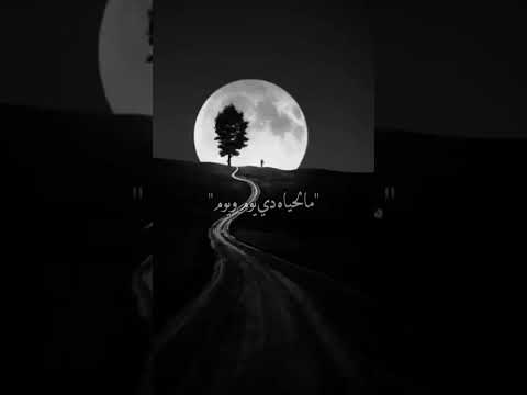 قوم وعدي الصعب قوم يوم هتضحلك ويوم تمشي عكس