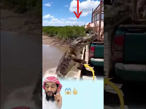 كلما همست النهاية بالرحيل أشرق لطف الله بطمأنينة لا تزول Shorts Shortvideo