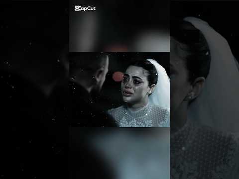 Ali S Love For The Soul Of Ahmed El Awady And Yara Ahmed El Awady Yara Ali Clay WhatsApp