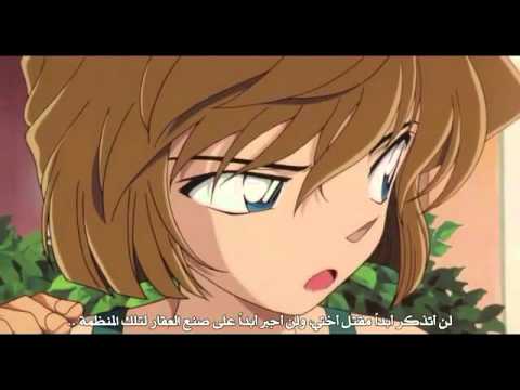 حب هيبارة لكونان