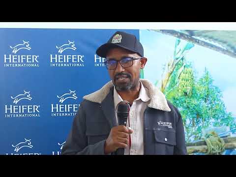 Heifer International Tanzania Yatumia Nanenane 2025 Kuelezea Tanzania Ijayo Ya Kilimo Na Ufugaji