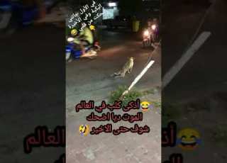 لم أفهم الذي رأته عيني في هدا الفيديو أعود بالله العلي العظيم من الشيطان الرجيم