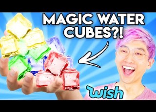 Can You Guess The Price Of These WEIRD WISH PRODUCTS GAME